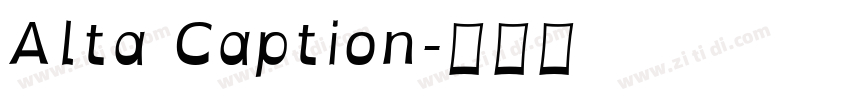 Alta Caption字体转换